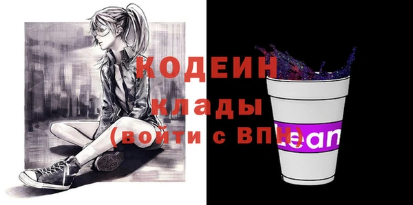 дживик Каменка