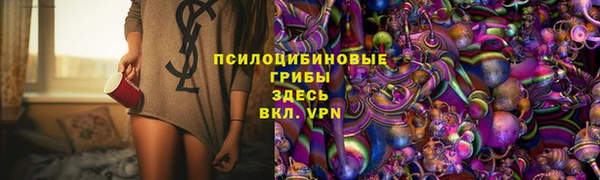 jwh Карпинск