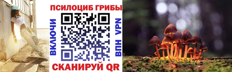 Псилоцибиновые грибы мухоморы  Камышин 